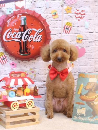 20230929ジョニーくん